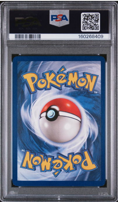 PSA 8 bagside
